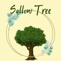 Sallow Tree