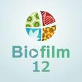 Biofilm_12