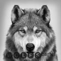 Wolfs cartel