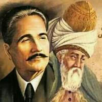 مولانا و اقبال لاهوری