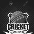 _cricket__report_