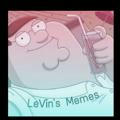 LeVin's Memes