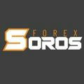 FOREX SOROS 🤑