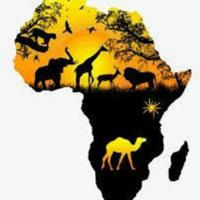 Pronostics Afrique 🐐