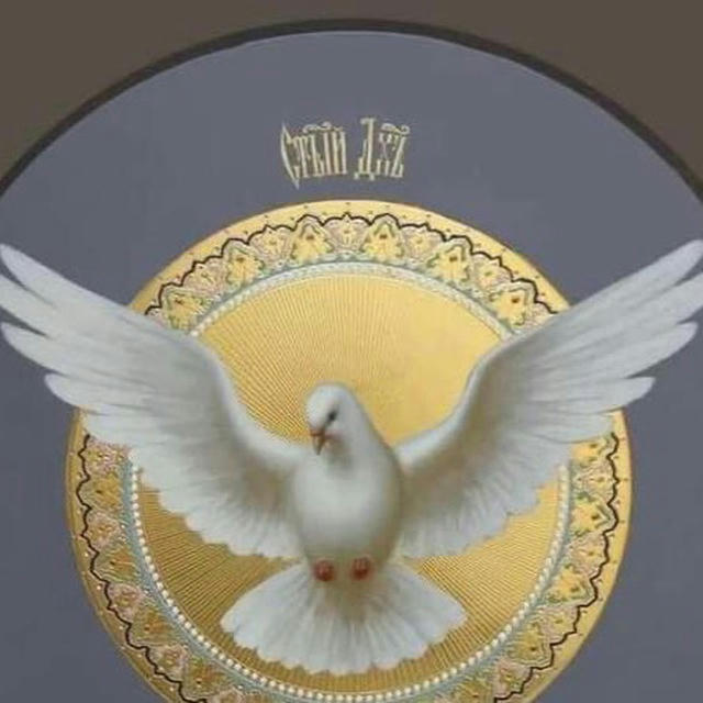 🌿ДУХОВНИЙ КАМЕРТОН🕊️