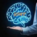 انجمن علمی دانشجویی مغز و شناخت دانشگاه علوم بهزیستی و توانبخشی