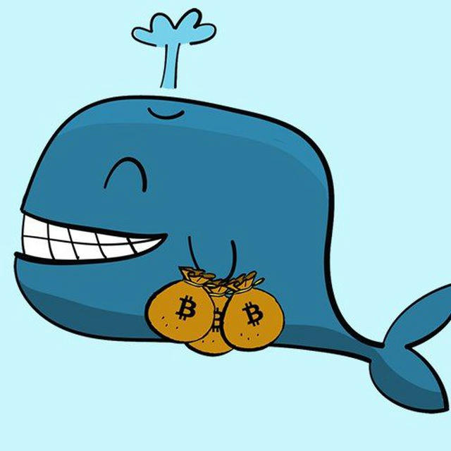 Adventures of Two Cryptowhales