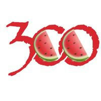 «300 миколаївців»