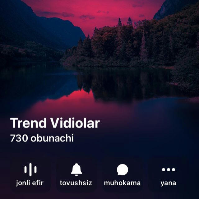 Trend Vidiolar