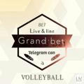 🏐 Grand Volleyball 🏐