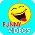 Funny videos &comments😂