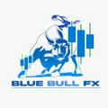 BLUE BULL FX™