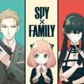 Spy x Family Chapter 66 : Spy X Family Manga