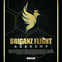 HIRING TEAM! | 𔓙 BRIGANZ FLIGHT ACADEMY