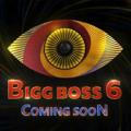 BIGG BOSS TELUGU 6