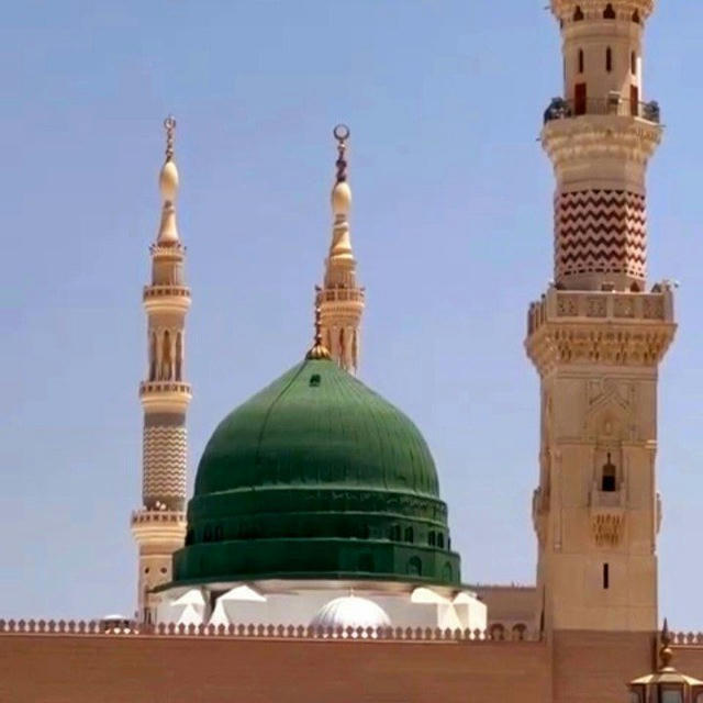 ابنةُ النَّبي ﷺ .