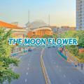 ✧ ❝ 💐 the flower moon ❞