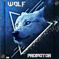 WOLF MUSIC PROMOTION