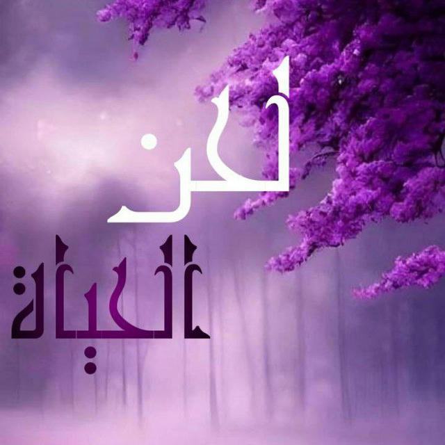 لحن الحياة🪻💜