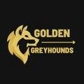 Golden Greyhounds Free🎖