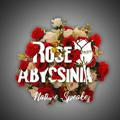 Rose Abyssinia