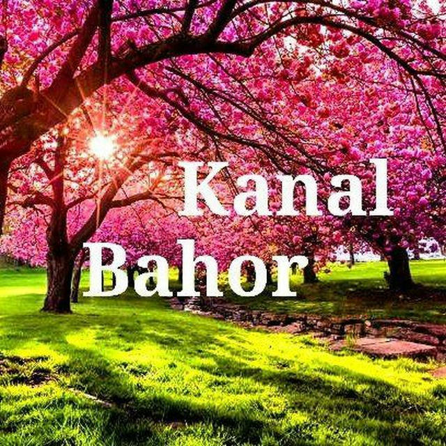 🌤Samarqand ob havo |YOZ|