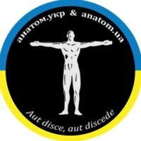 #anatom.ua