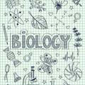 Biologiya|Rasmiy Kanal|