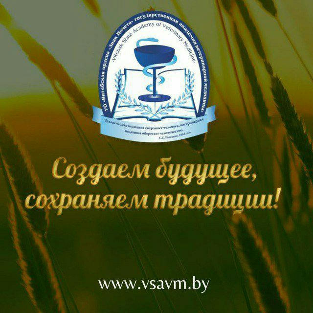 ВГАВМ official