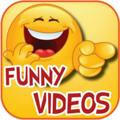 Kings Hot Funny Videos 😎