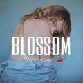 @cheklistblogger2 новый канал, вводи в поиске тeлеграма | BLOSSOM🍒 Курсы | Чек-листы