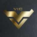 VIC Group
