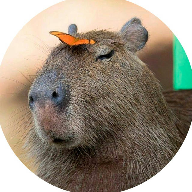 Отдохни