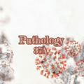 Pathology(37A)💉🩹
