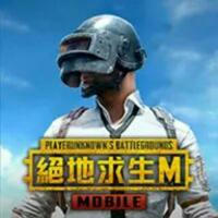 Pubg VNG 3.3 APK+OBB