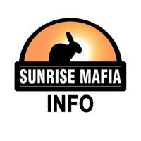Sunrise mafia 🐰 INFO 🇺🇦