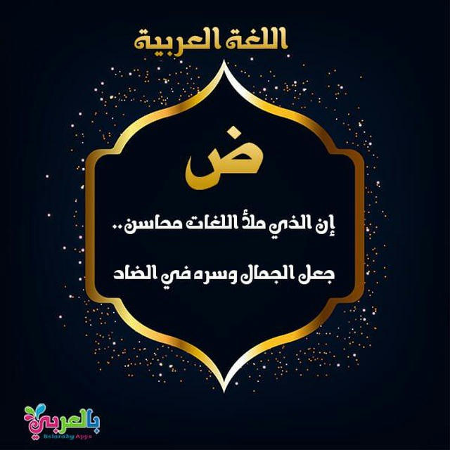 الاستاذ علي صالح~ اللغة العربية