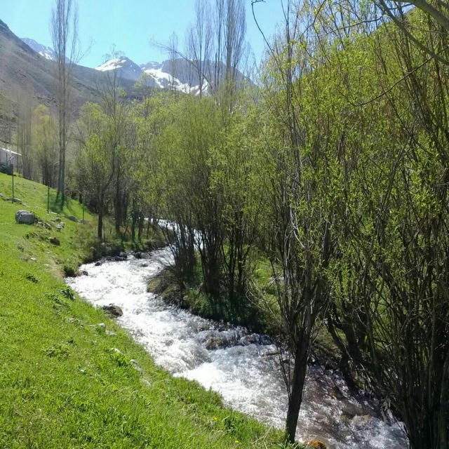 کانال اخبار و مطالب گریوده