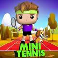 MiniTennis 🎾🎾🎾 ️