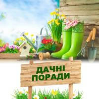 Дачні Поради l НЕ