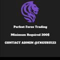 Perfect Forex Trading ®