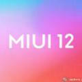 MIUI 12 Updates™