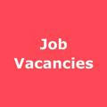 Job Vacancies 🇮🇳