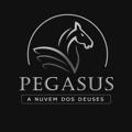 Pegasus (Geral)