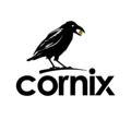 Cornix AutoTrading signals