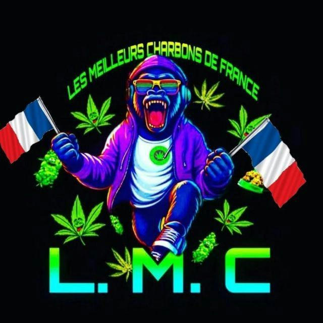🥇 L.M.C FRANCE 🥇 ACTU