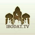 IBODAT.TV