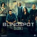 Blindspot Seasons 1-5