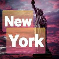 🇺🇸 NEW YORK 🇺🇸& USA DAILY Videos & pics