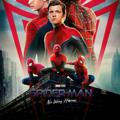 SPIDERMAN : NO WAY HOME || Filmy Doses